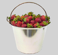 Stainless Steel Pails